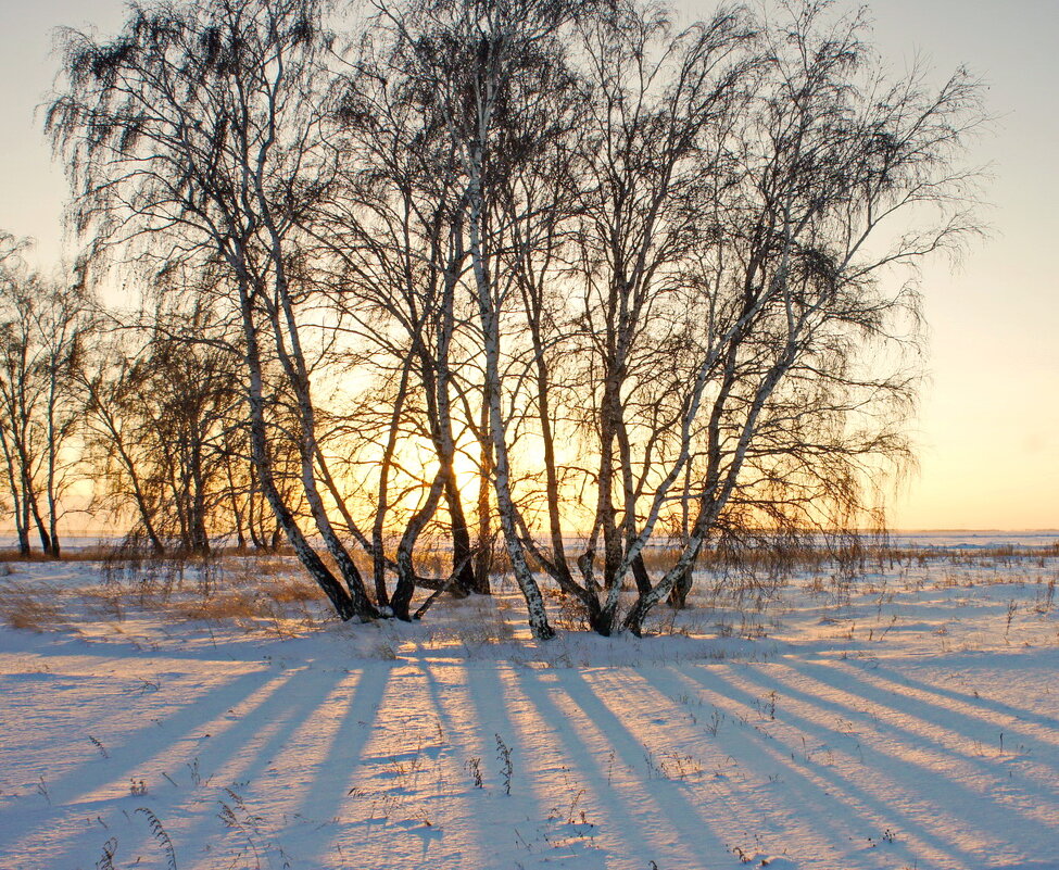 Предзакатные тени. - сергей ермошкин Предзакатные тени. - сергей ермошкин