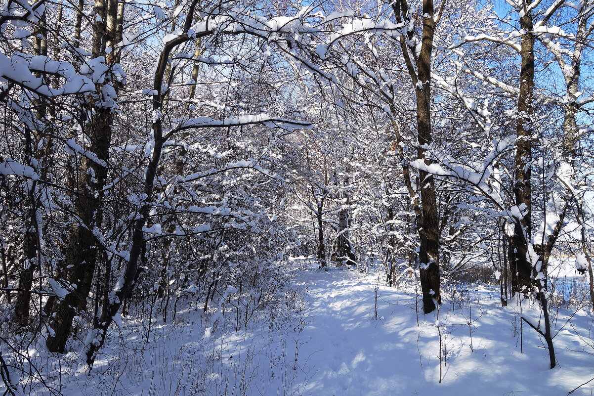 В окрестностях Калининграда - Рита Симонова В окрестностях Калининграда - Рита Симонова