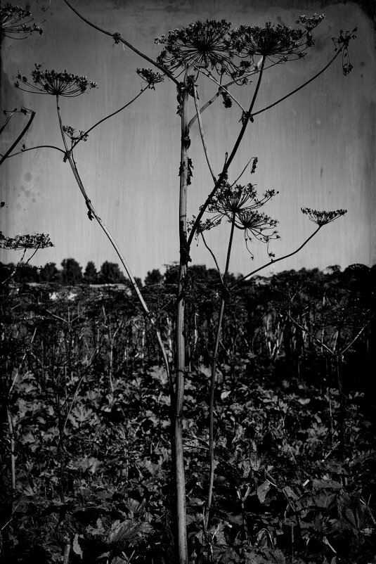 Название отсутствует - Денис Безногов