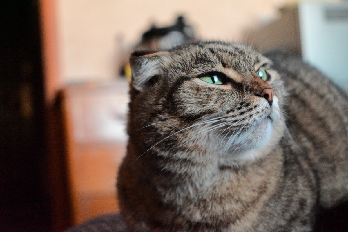 Чувствуешь, весной запахло - Владислав Левашов Чувствуешь, весной запахло - Владислав Левашов