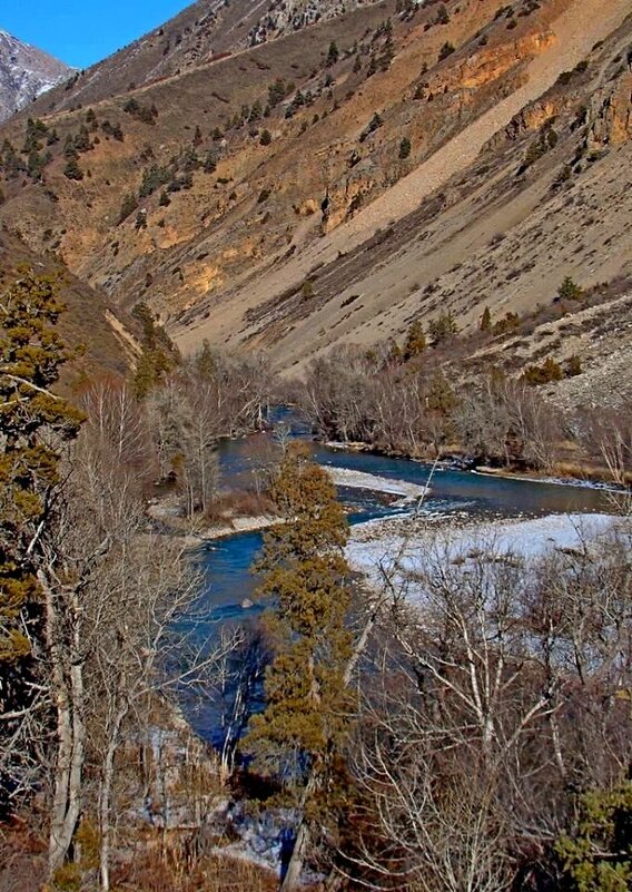 ЗИМНЯЯ ПРОГУЛКА. - Виктор Осипчук ЗИМНЯЯ ПРОГУЛКА. - Виктор Осипчук