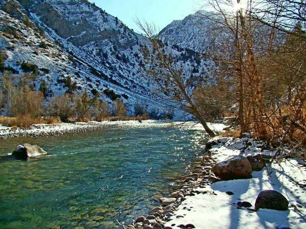 ЗИМНЯЯ ПРОГУЛКА. - Виктор Осипчук