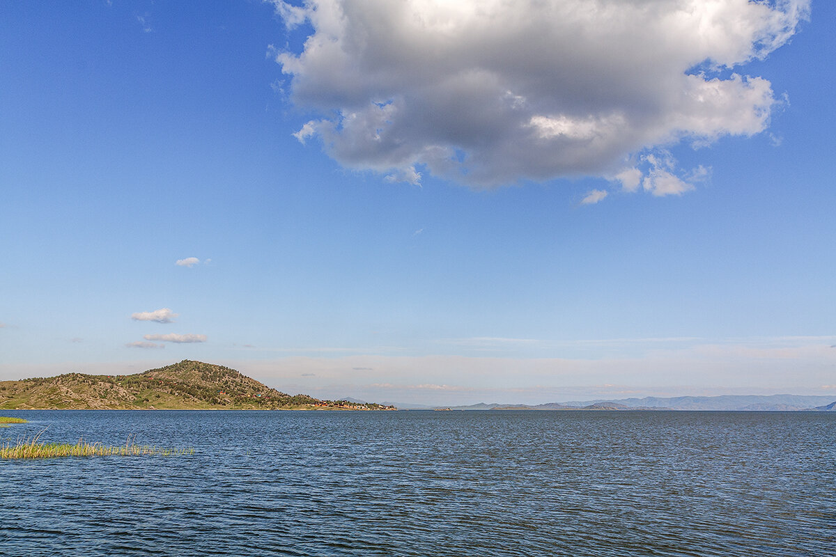 Союз - Дмитрий 