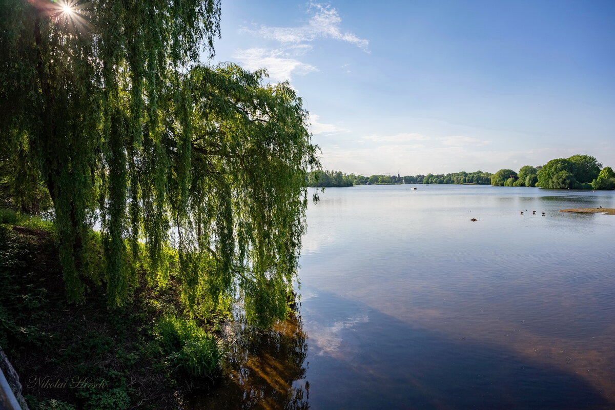 Озеро в мае... - Николай Гирш Озеро в мае... - Николай Гирш