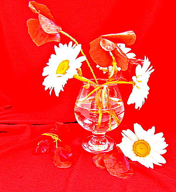 НАТЮРМОРТ - ivana 