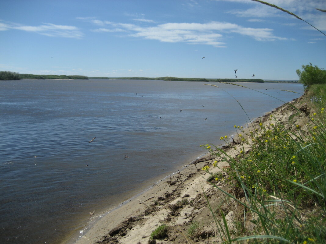 Лето - Anna Ivanova