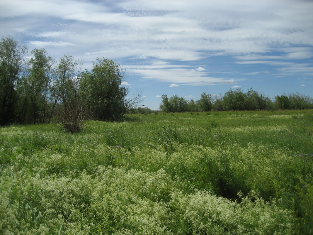 Лето - Anna Ivanova