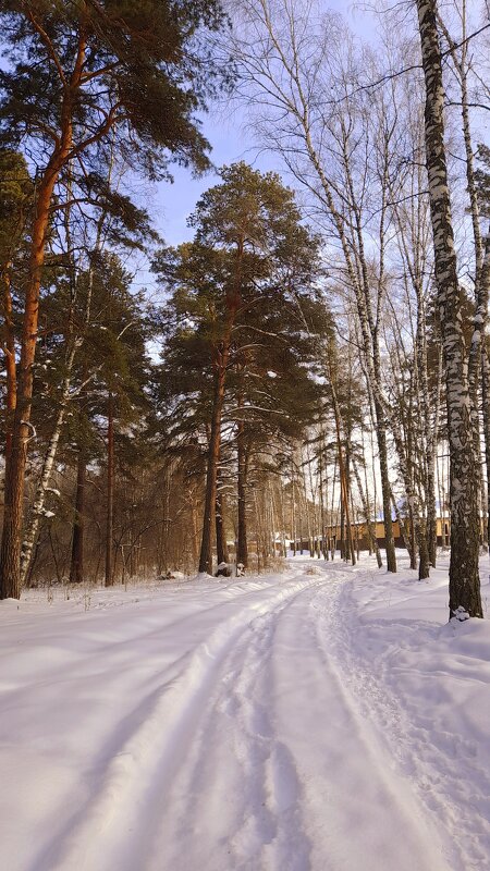 Дорога за околицей . - Мила Бовкун Дорога за околицей . - Мила Бовкун