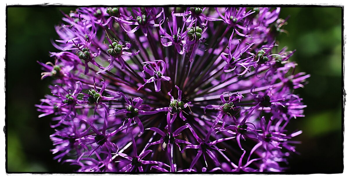 цвет и форма - ставил 