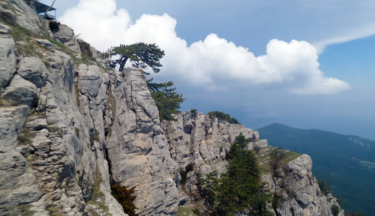 Ай-Петри - Ольга 