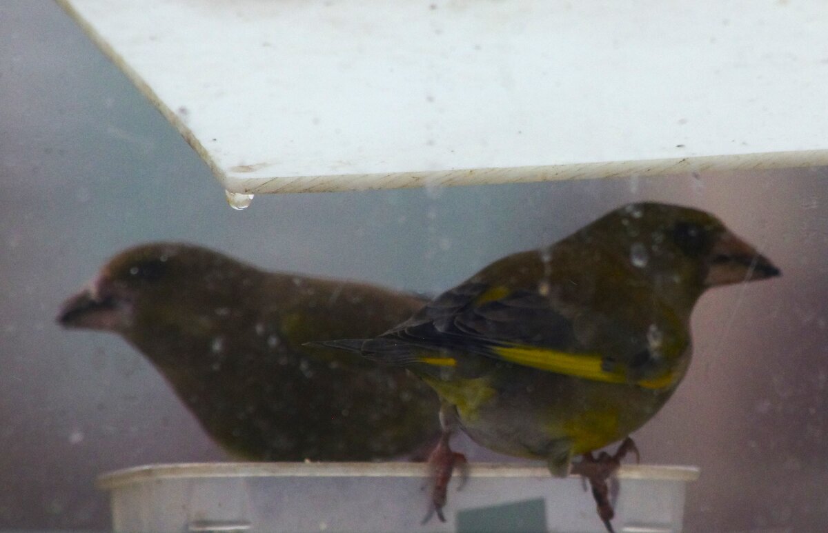 Хоть под крышей - Юрий Куликов Хоть под крышей - Юрий Куликов