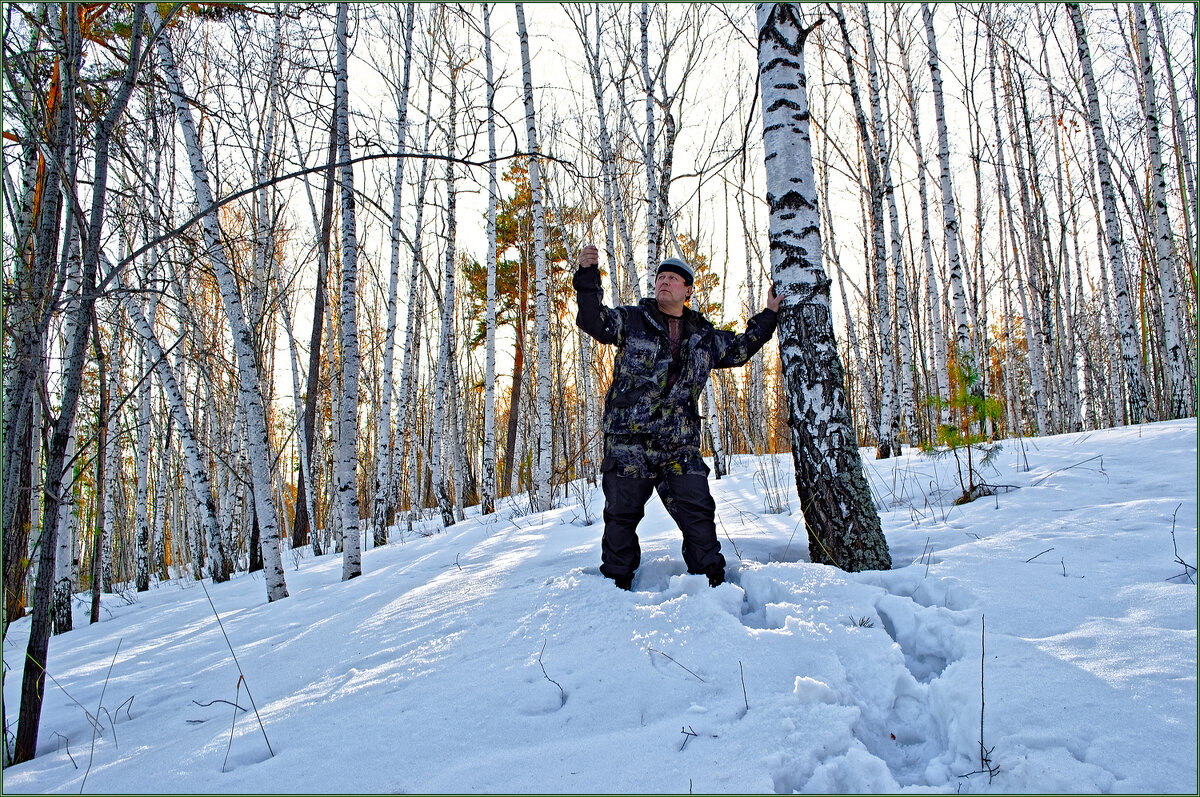 Веточка. - Юрий кот Веточка. - Юрий кот