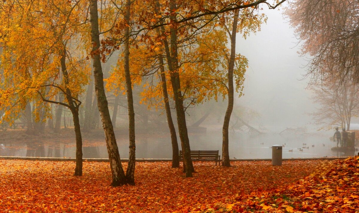 Утро рыжей осени - Юрий. Шмаков