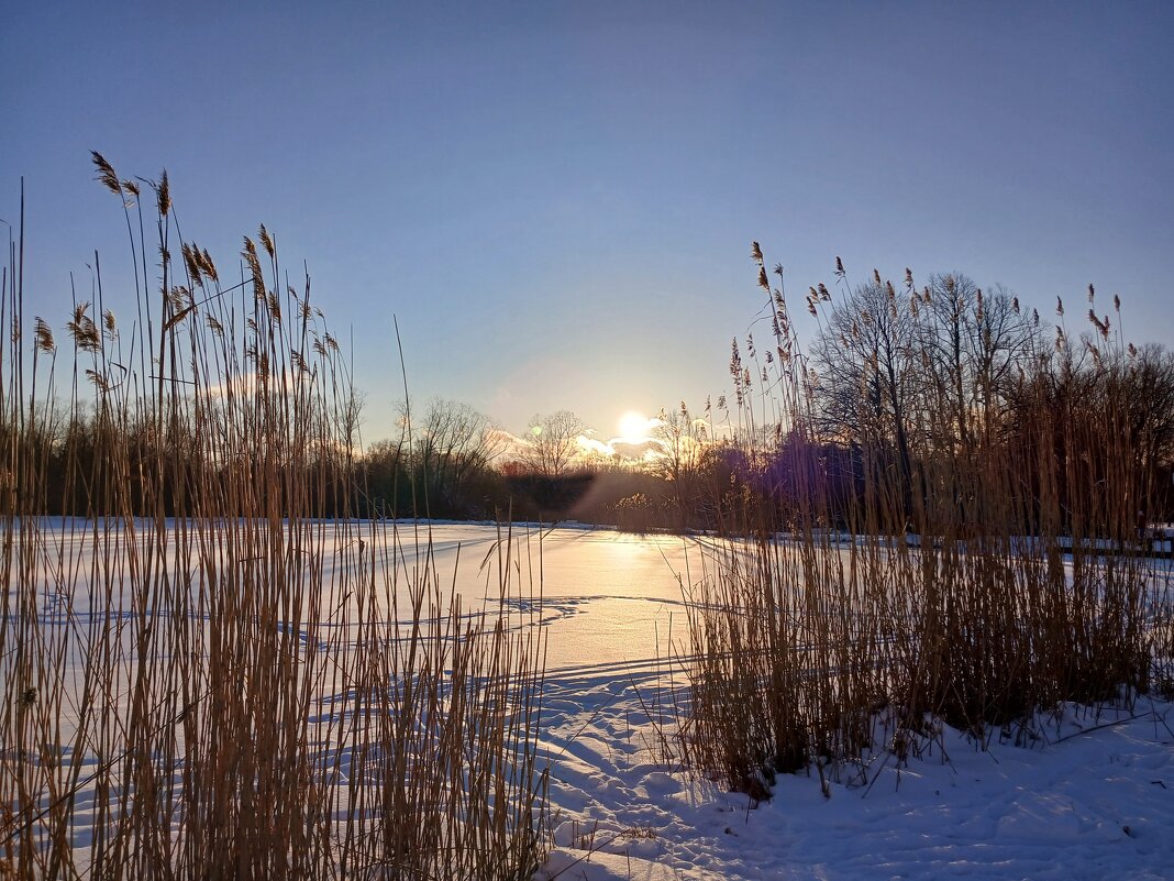 Конец февраля, закат. - Лия ☼ Конец февраля, закат. - Лия ☼