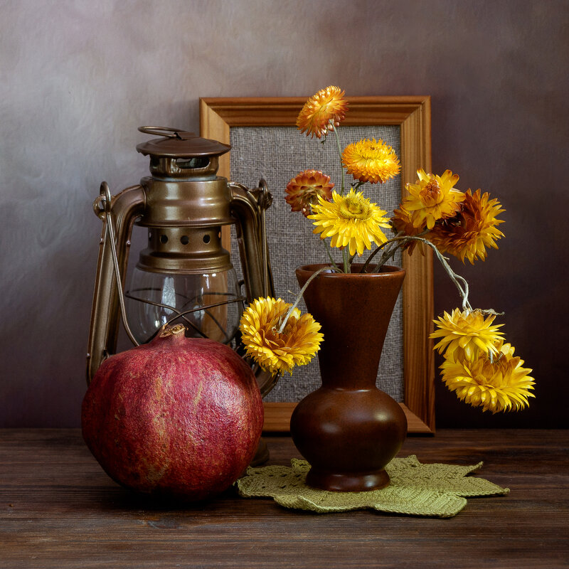 Гелихризумы - Александр Гелихризумы - Александр