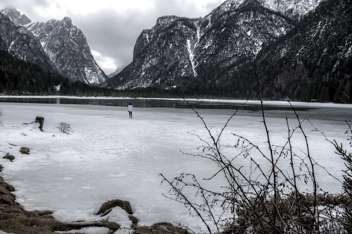 ** - Александр Липовецкий
