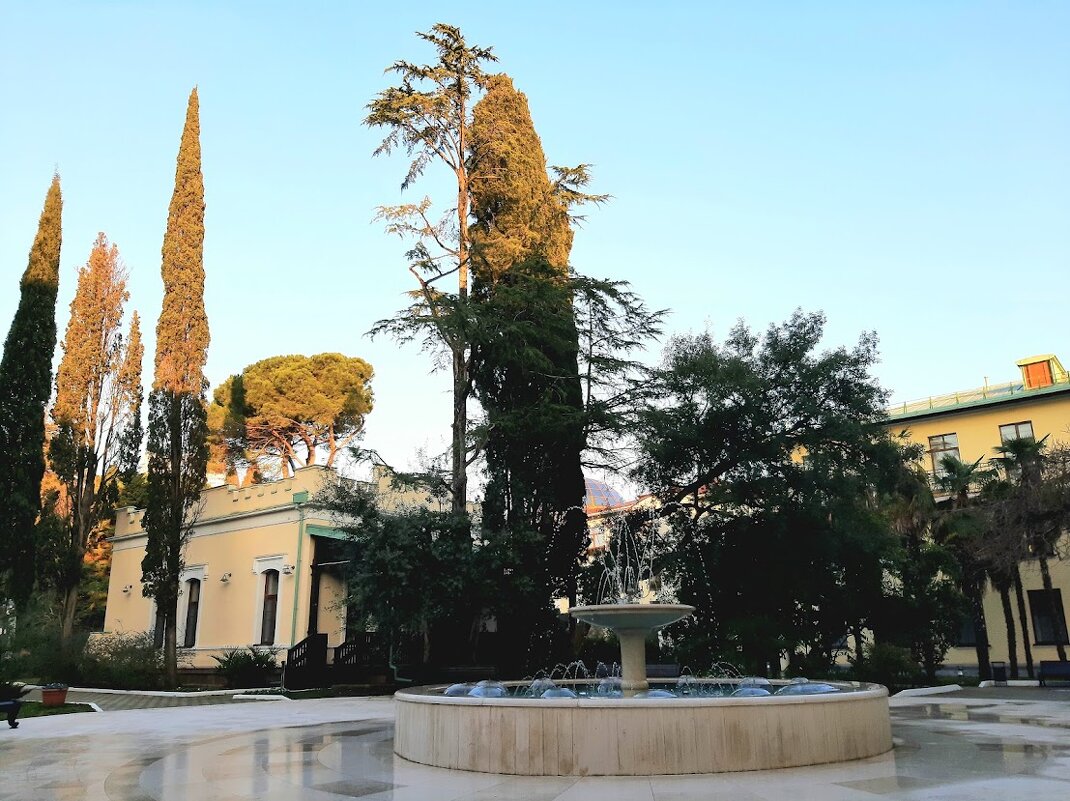 Санаторий - Tata Wolf