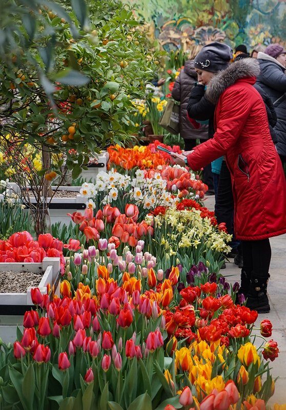 "Репетиция весны" в Аптекарском огороде - Ольга "Репетиция весны" в Аптекарском огороде - Ольга