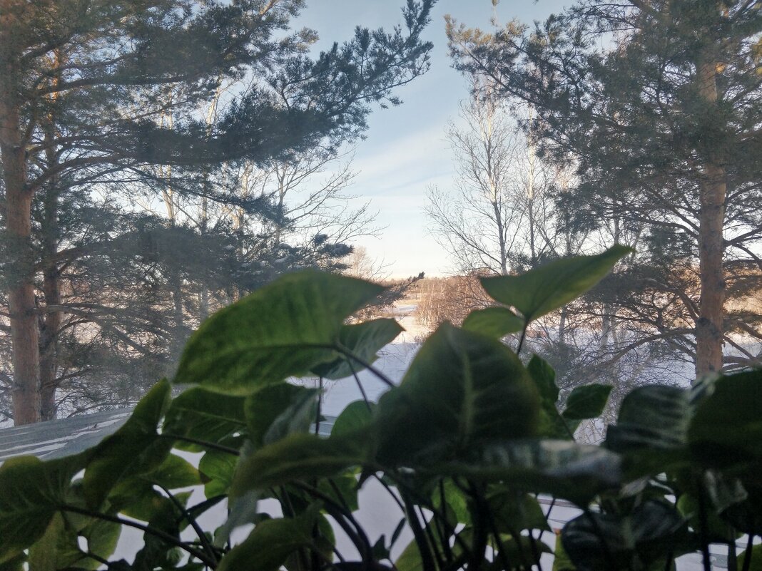 А за окном ,зима - Андрей Хлопонин