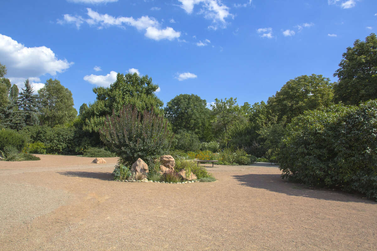 Август 2019 года - Валентин Семчишин Август 2019 года - Валентин Семчишин