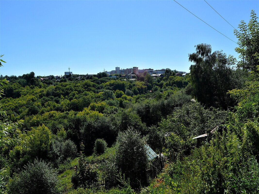 Чебоксары. Якимовский овраг. - Пётр Чернега Чебоксары. Якимовский овраг. - Пётр Чернега