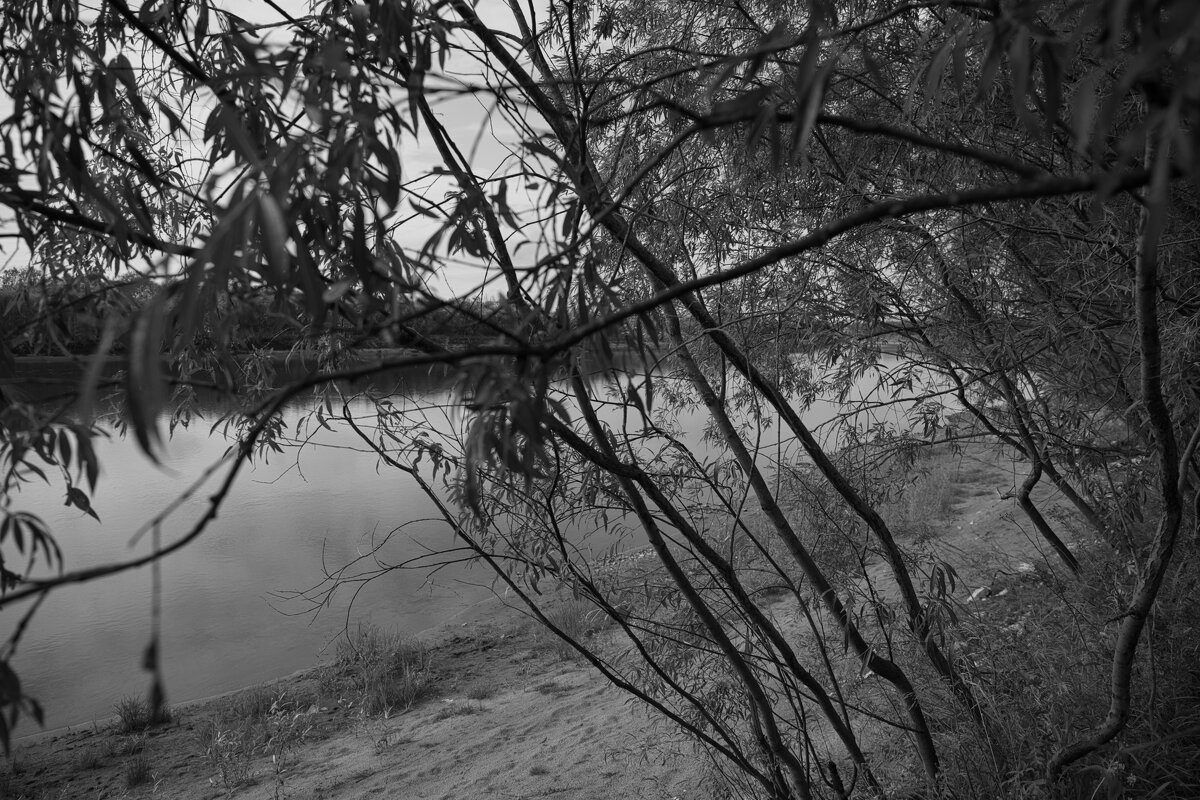 Название отсутствует - Денис Безногов Название отсутствует - Денис Безногов