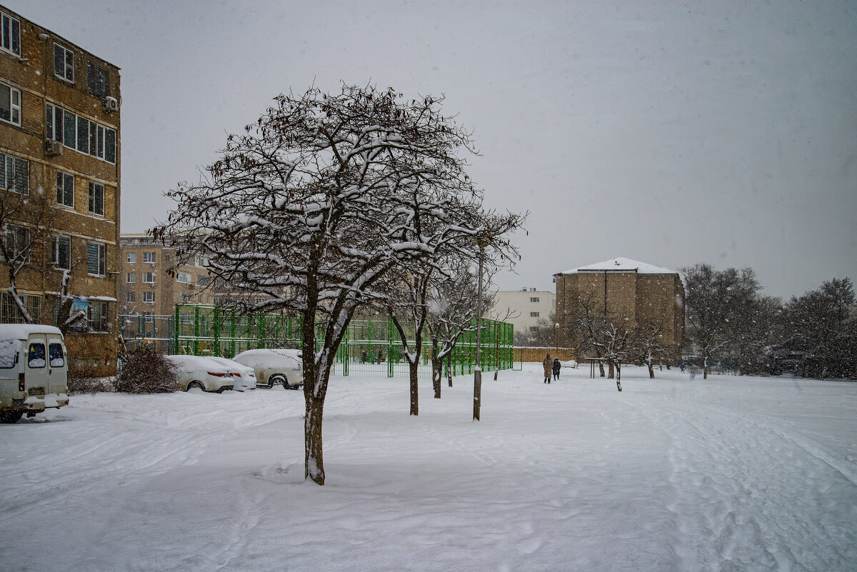 Зимний пейзаж - Анатолий Чикчирный Зимний пейзаж - Анатолий Чикчирный