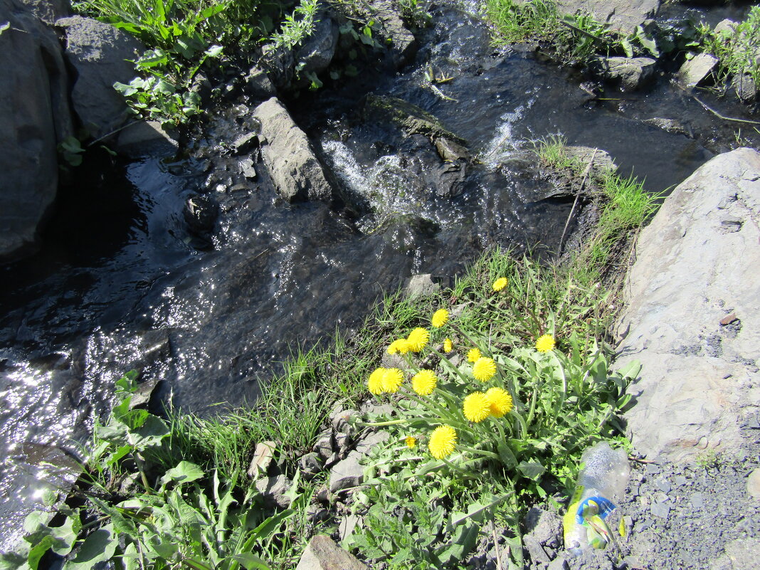 Шла весна неспешным шагом... - Galaelina *** Шла весна неспешным шагом... - Galaelina ***