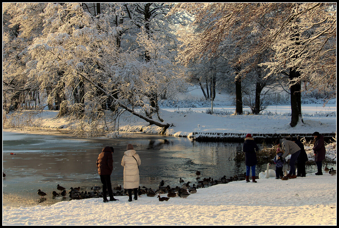 Общение с природой - Aleksandr Gal