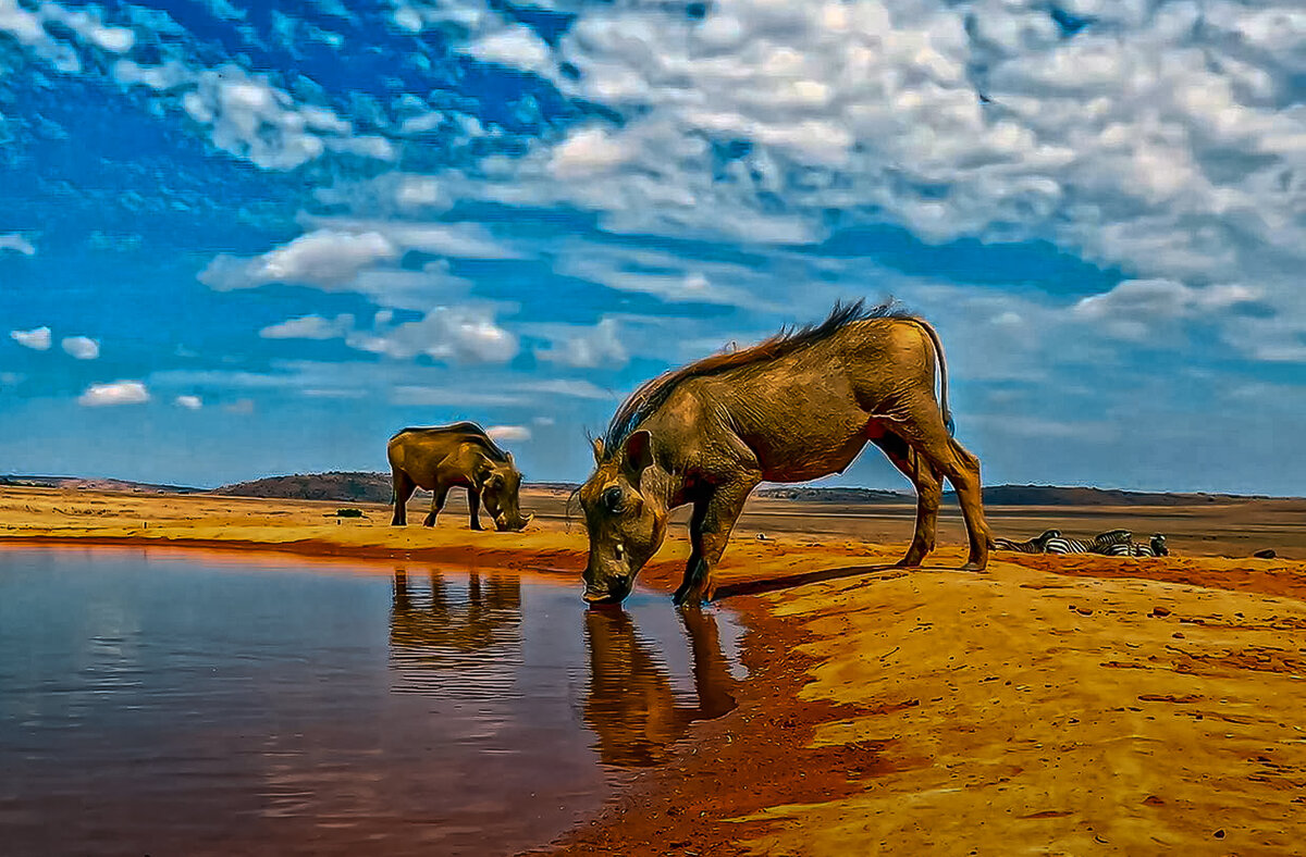 *** - Aleksey Afonin *** - Aleksey Afonin