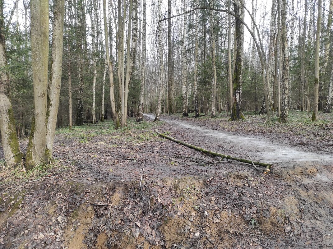 Весенняя тропинка - Игорь Ч.