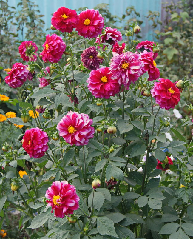 К 8-МАРТА! - сергей ермошкин К 8-МАРТА! - сергей ермошкин