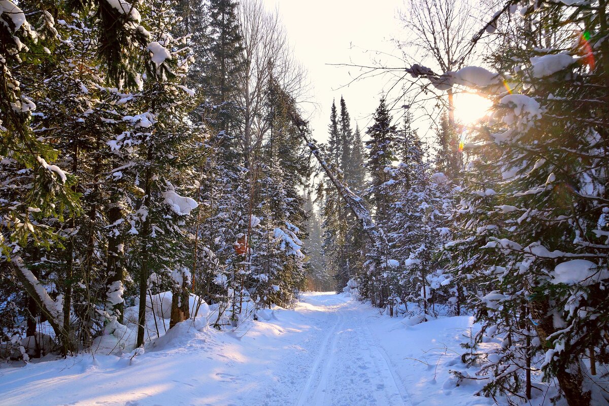 - - Владимир Мигонькин