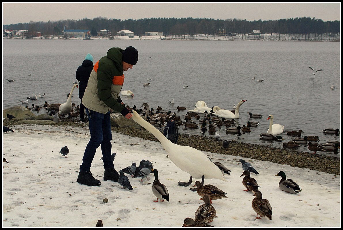 Доверие... - Aleksandr Gal