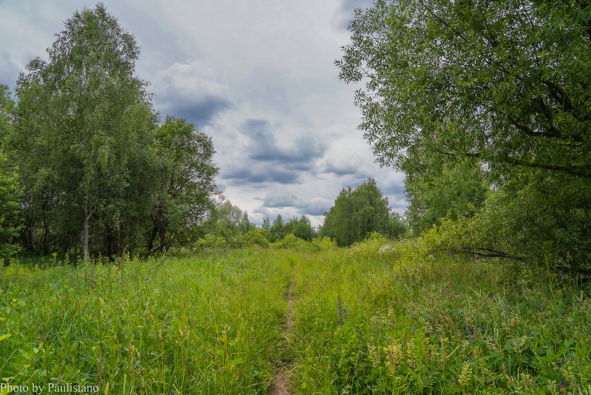 В июне... - Владимир Жданов В июне... - Владимир Жданов
