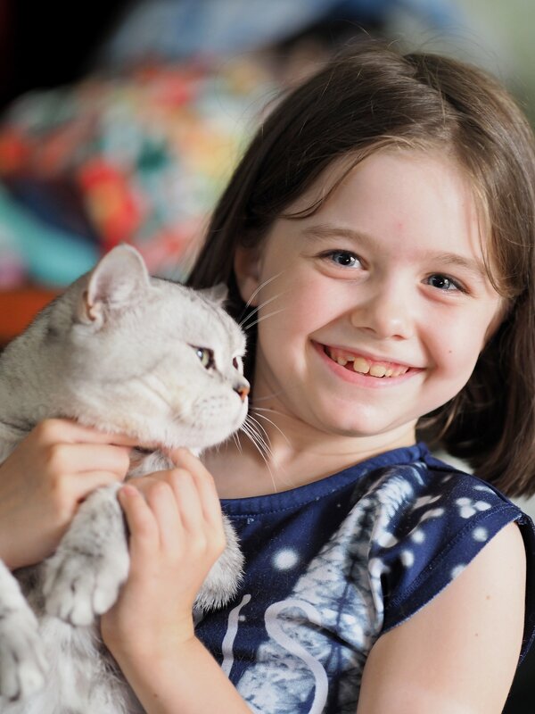 Портрет девочки с котом - photo Bo