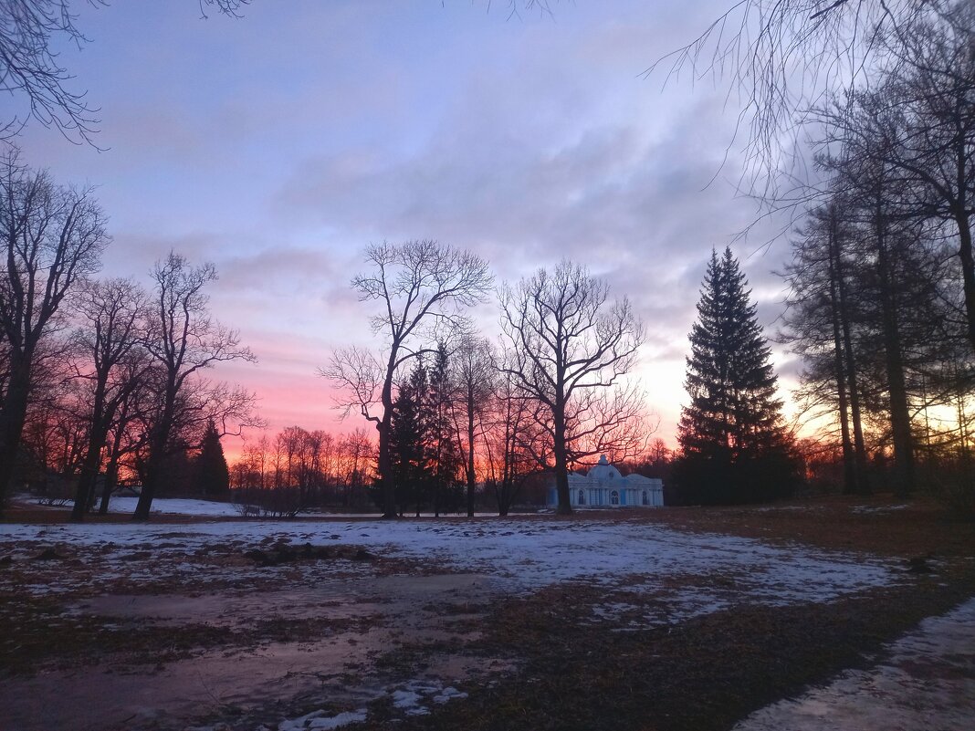 Рассвет - Сапсан 