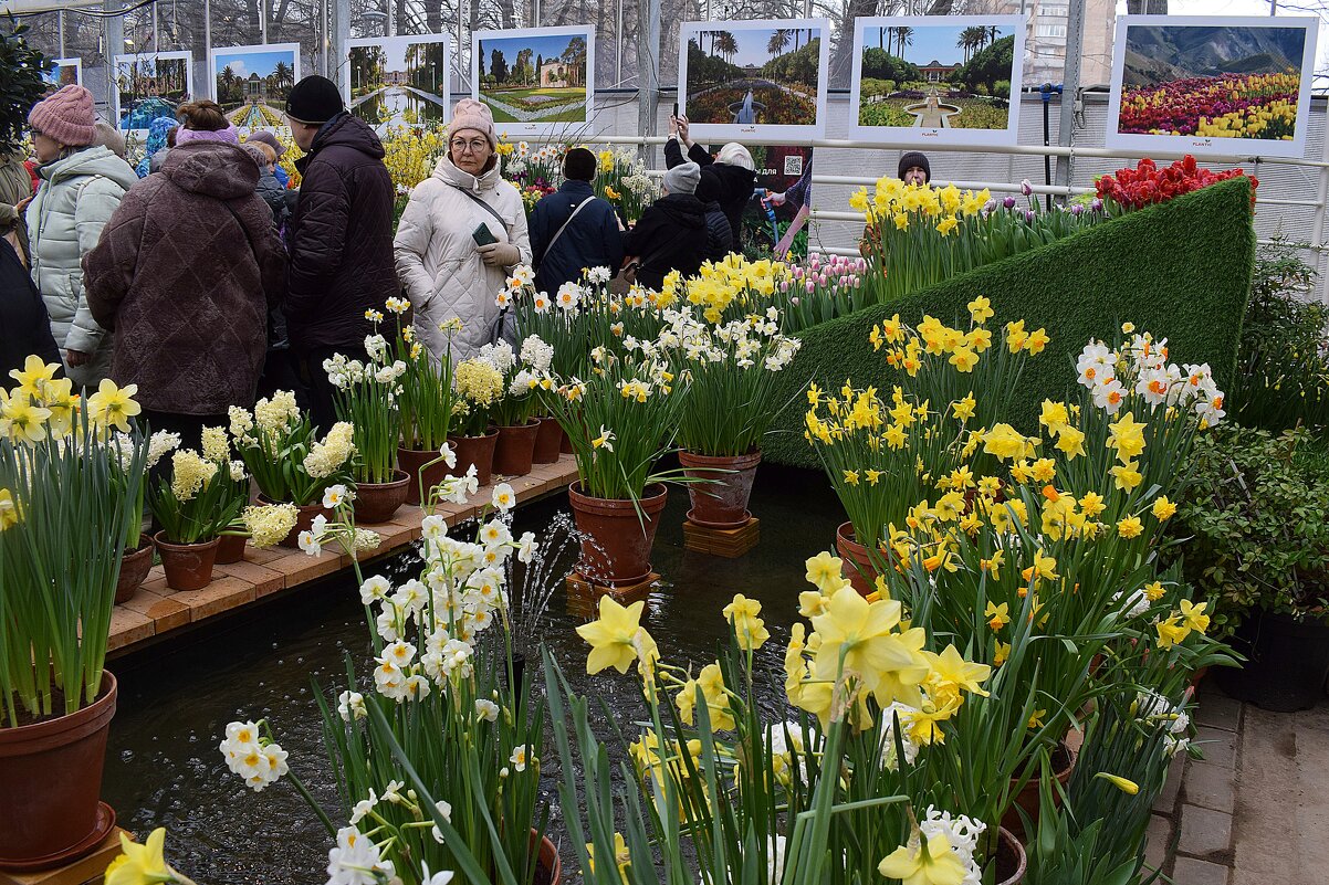 Красота и чистота цветов никого не оставляет равнодушными. - Татьяна Помогалова