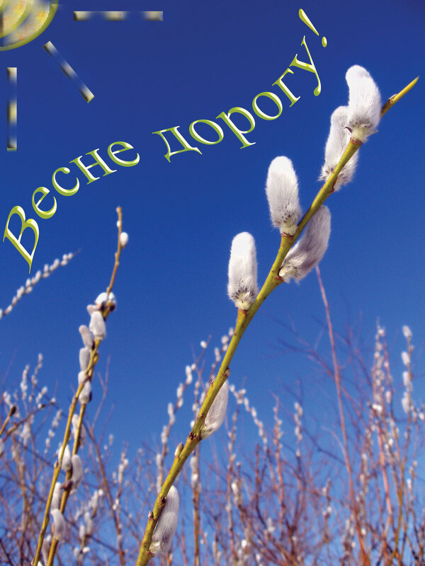 Весеннего настроения! - Veera V Весеннего настроения! - Veera V