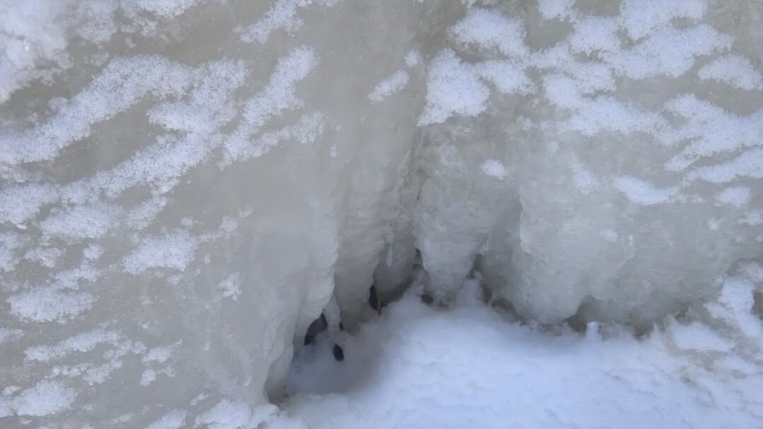 лёд - Елена Шаламова