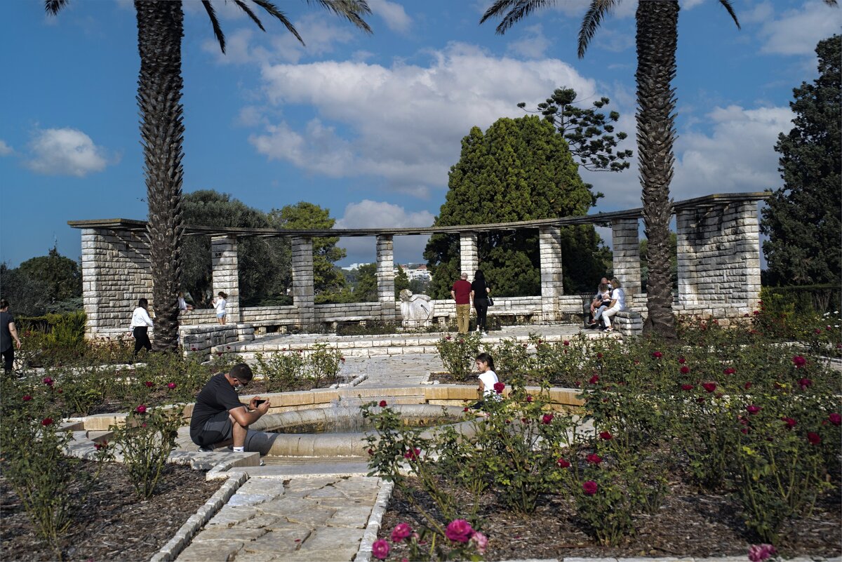 Смотровая площадка //2020,11,14 - ujgcvbif 