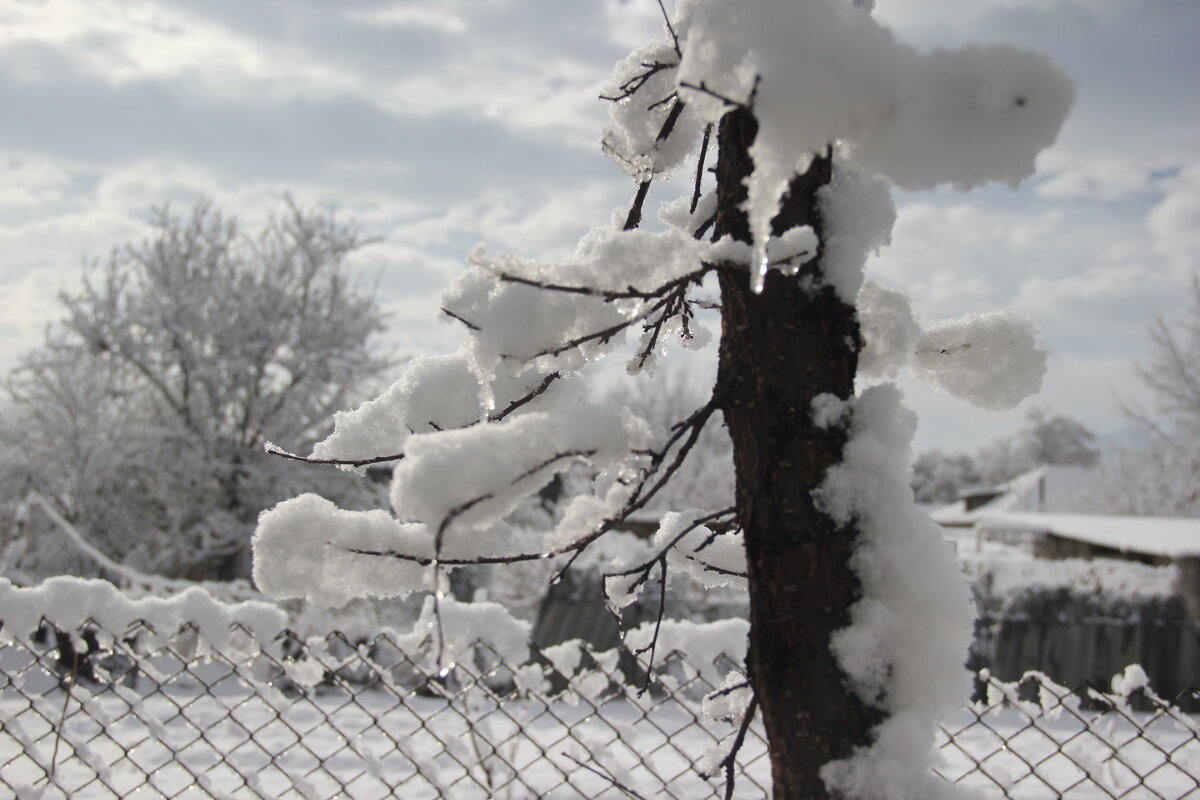 последний снег - Николай 