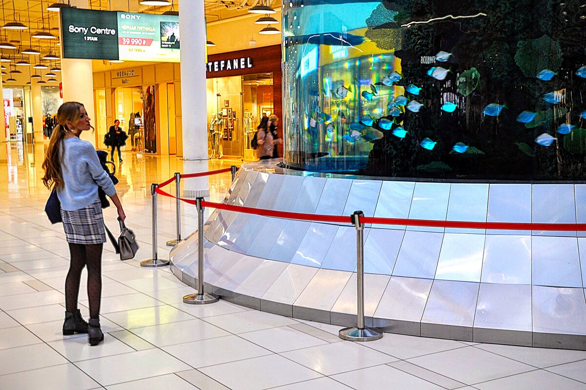 Девушка и рыбки ! - Анатолий Колосов Девушка и рыбки ! - Анатолий Колосов