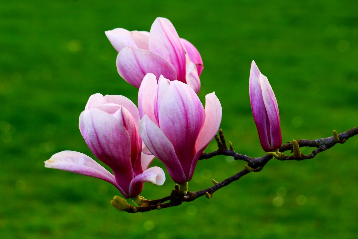 Будьте счастливы и любимы! - Юрий. Шмаков Будьте счастливы и любимы! - Юрий. Шмаков