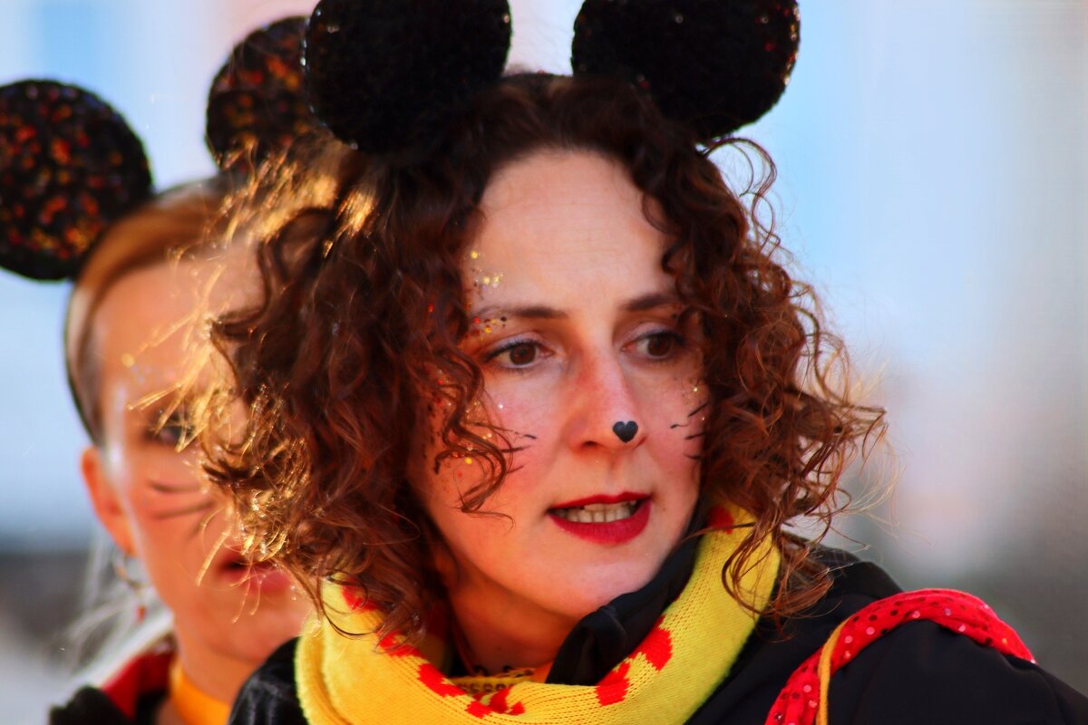 Мы котов сегодня не боимся - Юрий. Шмаков Мы котов сегодня не боимся - Юрий. Шмаков