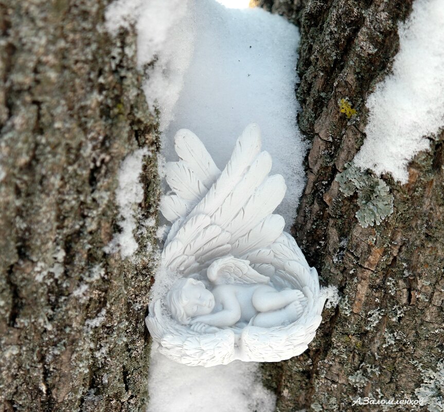 И ангелы ещё спят до весны... - Андрей Заломленков И ангелы ещё спят до весны... - Андрей Заломленков