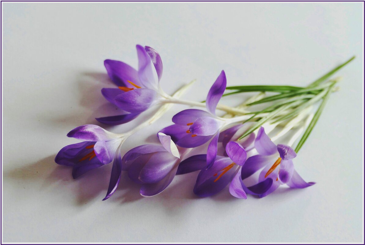 С ПРАЗДНИКРМ! - Elvira E. 