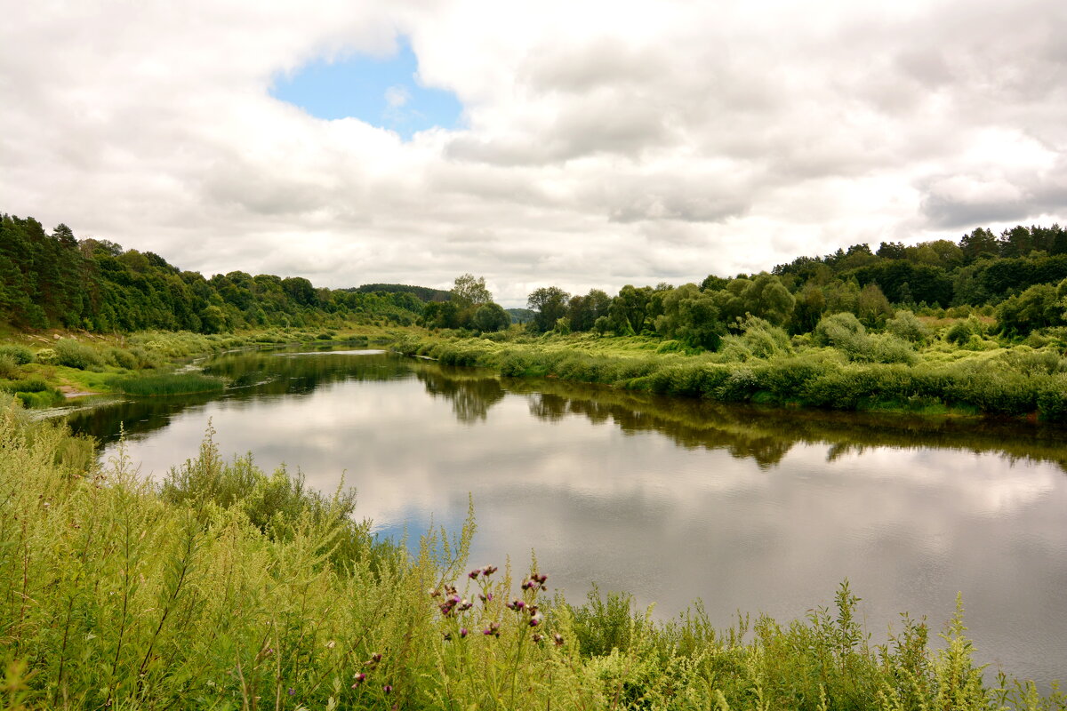 Река Угра - Леонид Иванчук Река Угра - Леонид Иванчук