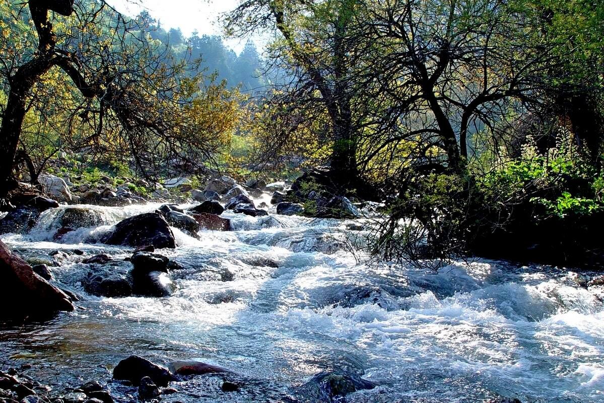 ГОРНАЯ ПРОГУЛКА. - Виктор Осипчук ГОРНАЯ ПРОГУЛКА. - Виктор Осипчук