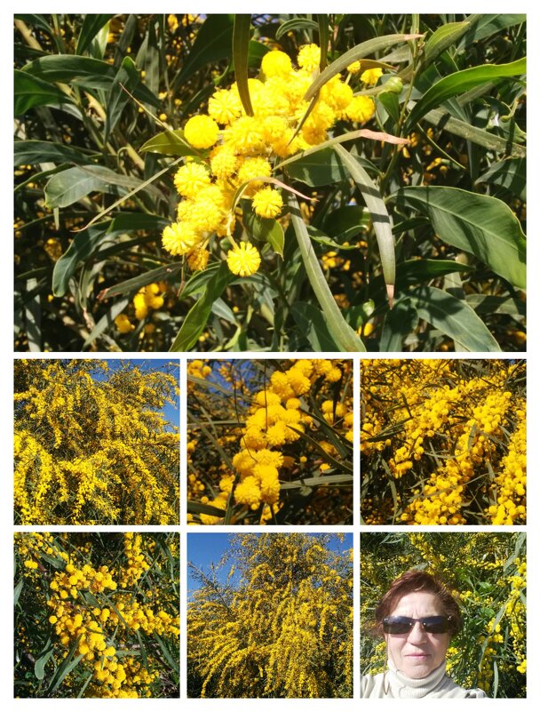 С 8 - Мартом  , женщины! - Светлана Хращевская